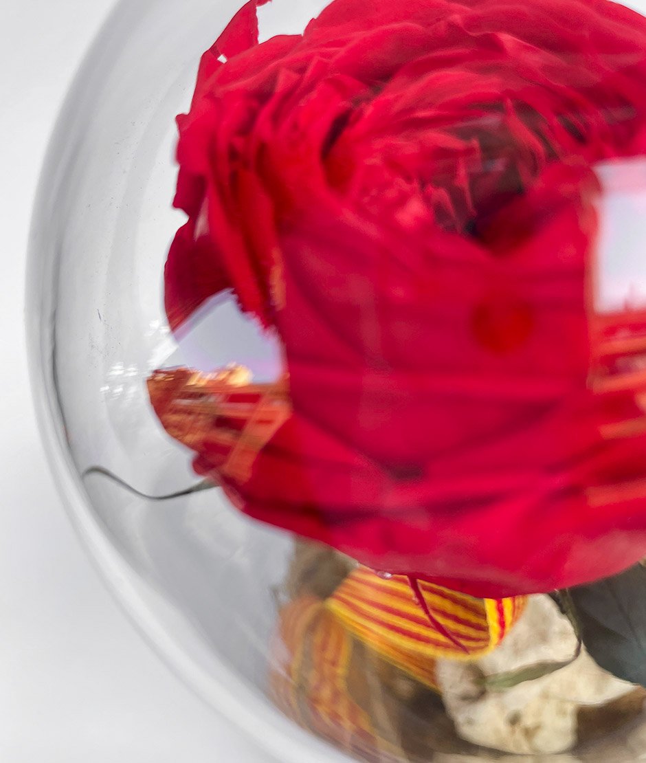 Rosas para enviar a domicilio