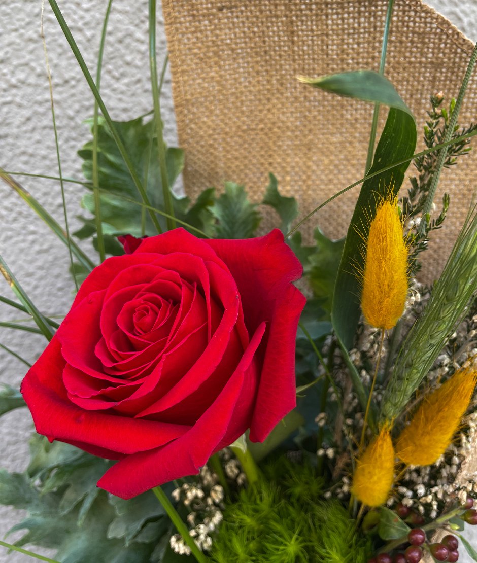 Envío ramo de rosas a domicilio