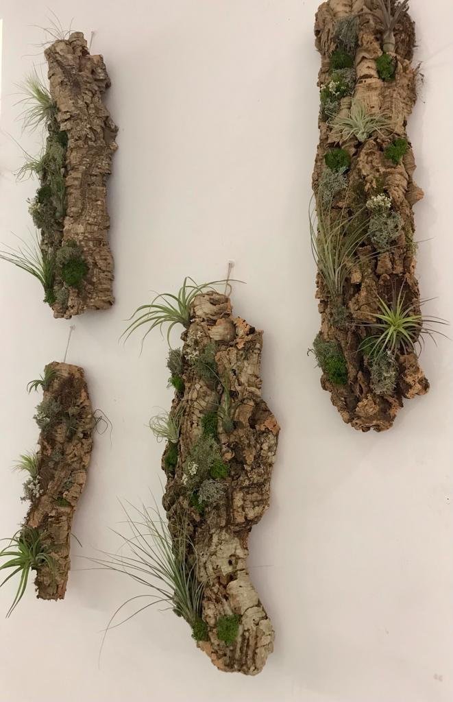 Taller de plantas Heroica