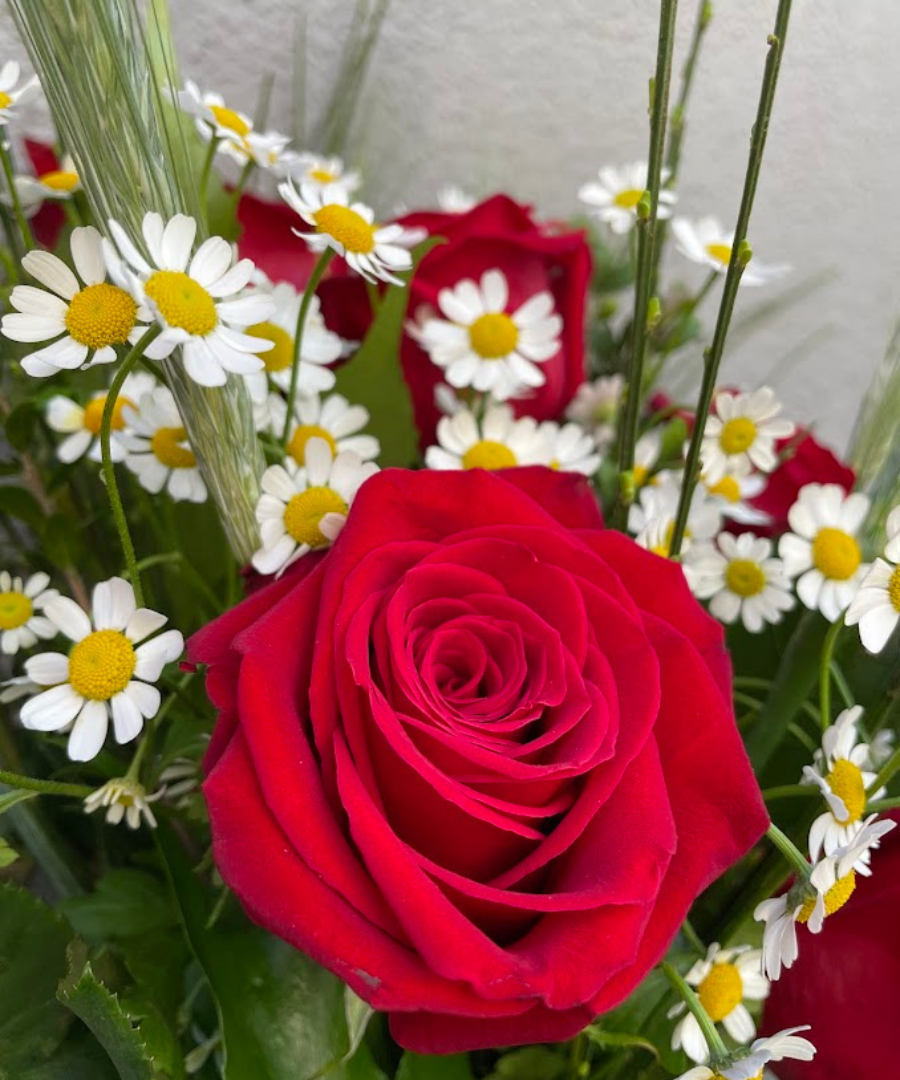 Ramo 12 rosas de Sant Jordi detalle Ramo 12 rosas de Sant Jordi detalle