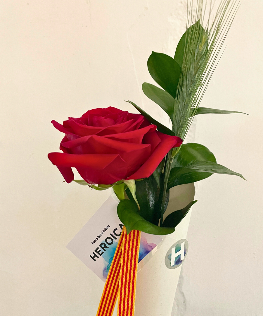 Rosa Heroica semillas de Sant Jordi