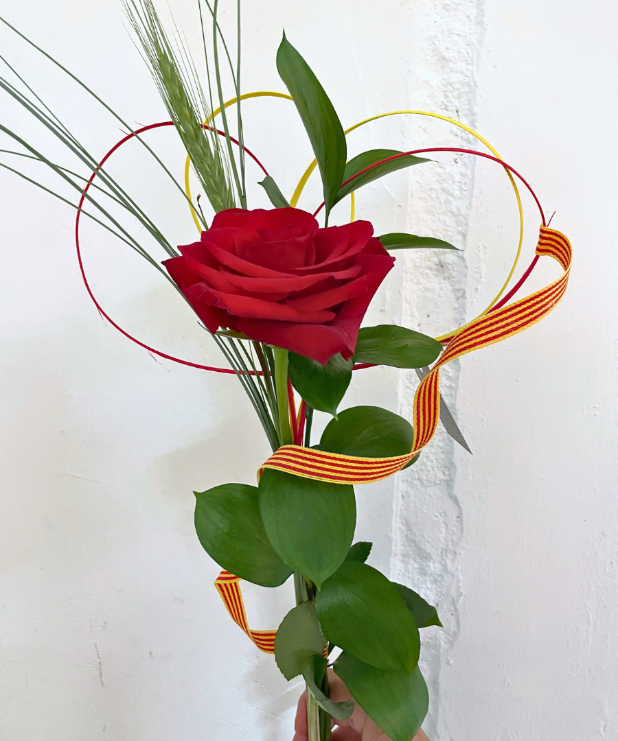 Rosa de Sant Jordi Barcelona