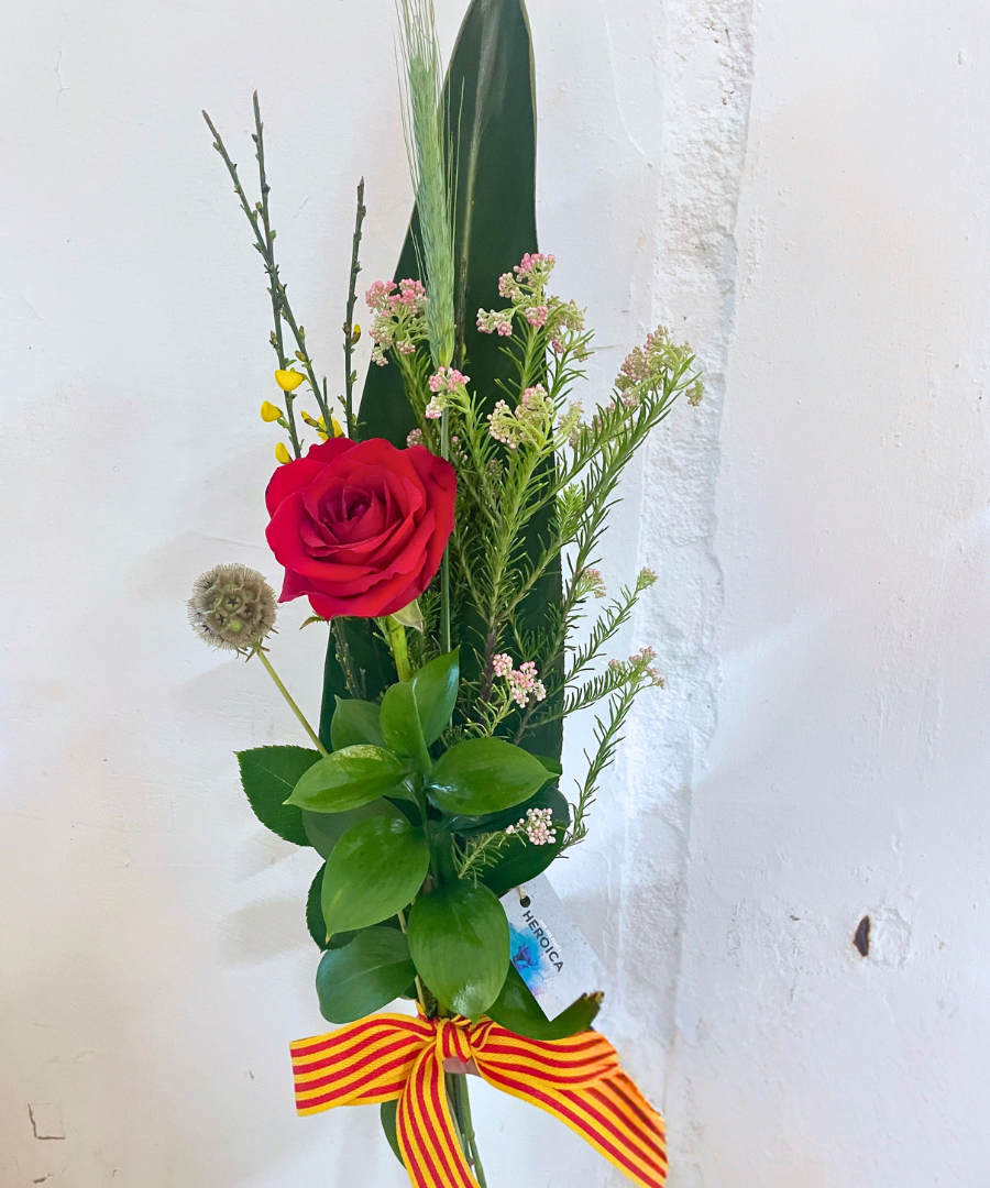 Rosa de Sant Jordi Trebeluger