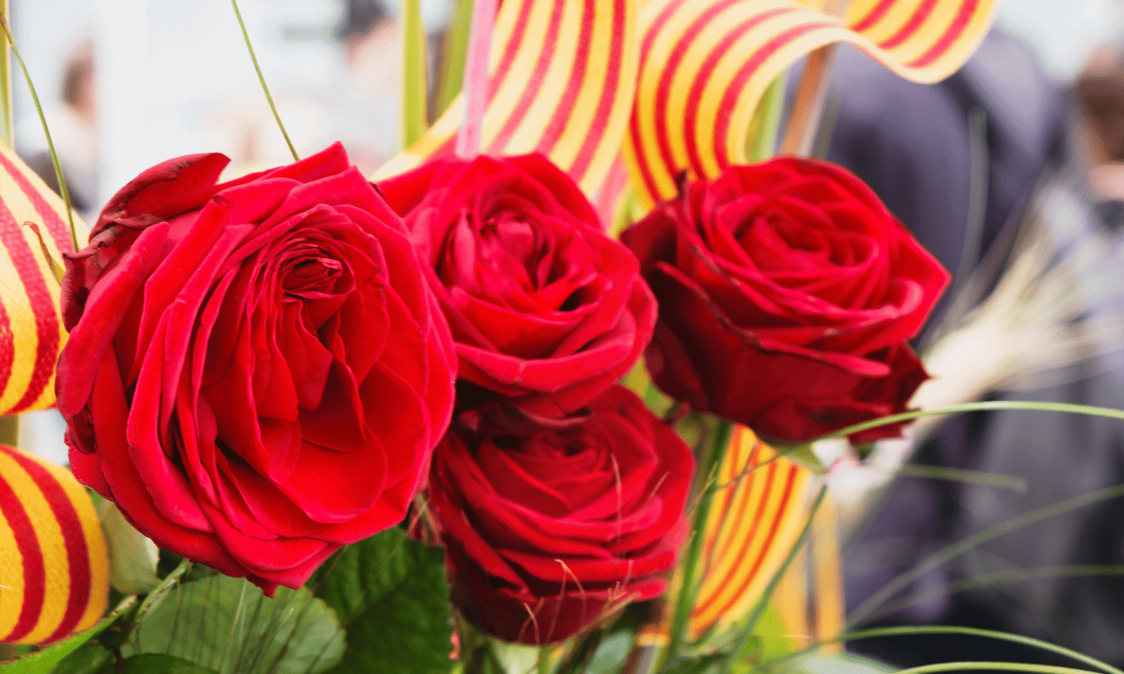 ARTICULOS HEROICA scaled