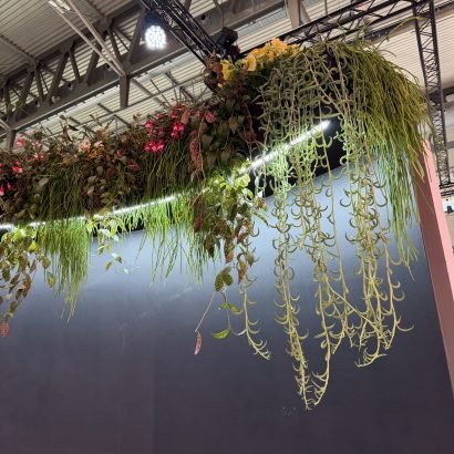 PASTORET ALIMENTARIA 26 (2)